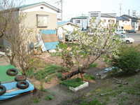  dscf0963.jpg 