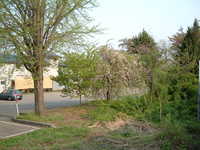  dscf0964.jpg 