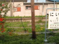  dscf0966.jpg 