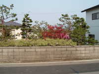  dscf0967.jpg 