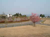 dscf0969.jpg 