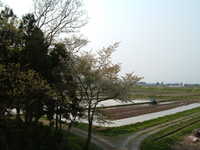  dscf0972.jpg 