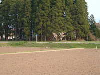  dscf0973.jpg 