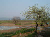  dscf0975.jpg 