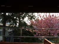  dscf0976.jpg 
