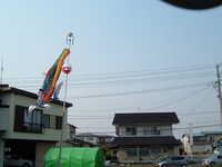  dscf0977.jpg 