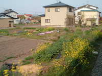  dscf0978.jpg 