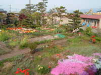  dscf0979.jpg 