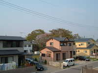  dscf0980.jpg 