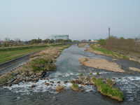  dscf0981.jpg 