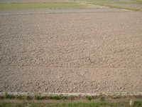 dscf0984.jpg 