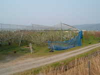  dscf0989.jpg 