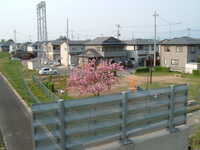  dscf0992.jpg 