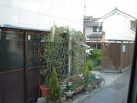  dscf1011.jpg 