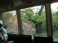  dscf1025.jpg 