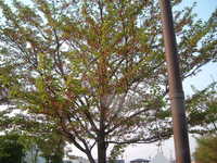  dscf1029.jpg 