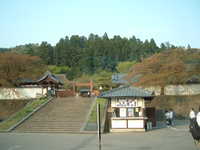  dscf1033.jpg 