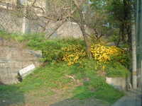  dscf1036.jpg 