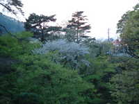  dscf0022.jpg 