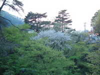  dscf0023.jpg 