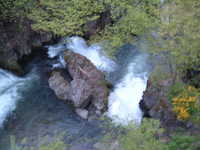  dscf0024.jpg 