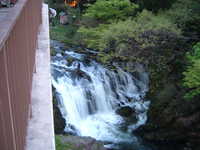  dscf0025.jpg 