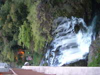  dscf0026.jpg 