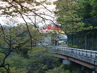  dscf0031.jpg 