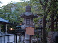  dscf0049.jpg 