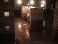  dscf0057.jpg 