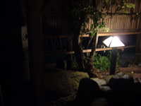  dscf0066.jpg 