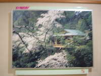  dscf0105.jpg 