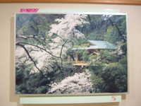  dscf0106.jpg 