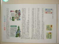  dscf0113.jpg 