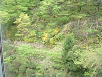  dscf0126.jpg 