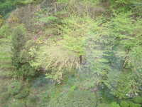  dscf0127.jpg 