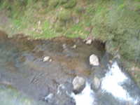  dscf0128.jpg 