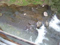  dscf0129.jpg 