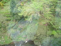  dscf0130.jpg 
