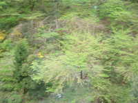  dscf0131.jpg 