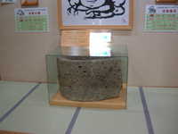 dscf0135.jpg 