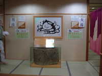  dscf0136.jpg 