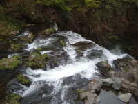  dscf0144.jpg 