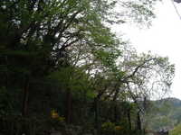  dscf0151.jpg 