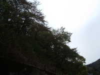  dscf0152.jpg 