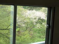  dscf0155.jpg 