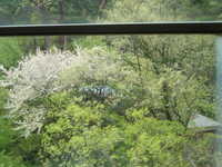  dscf0156.jpg 