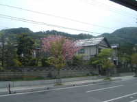  dscf0162.jpg 