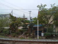  dscf0215.jpg 