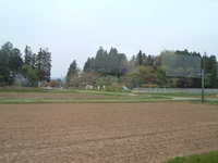  dscf0217.jpg 